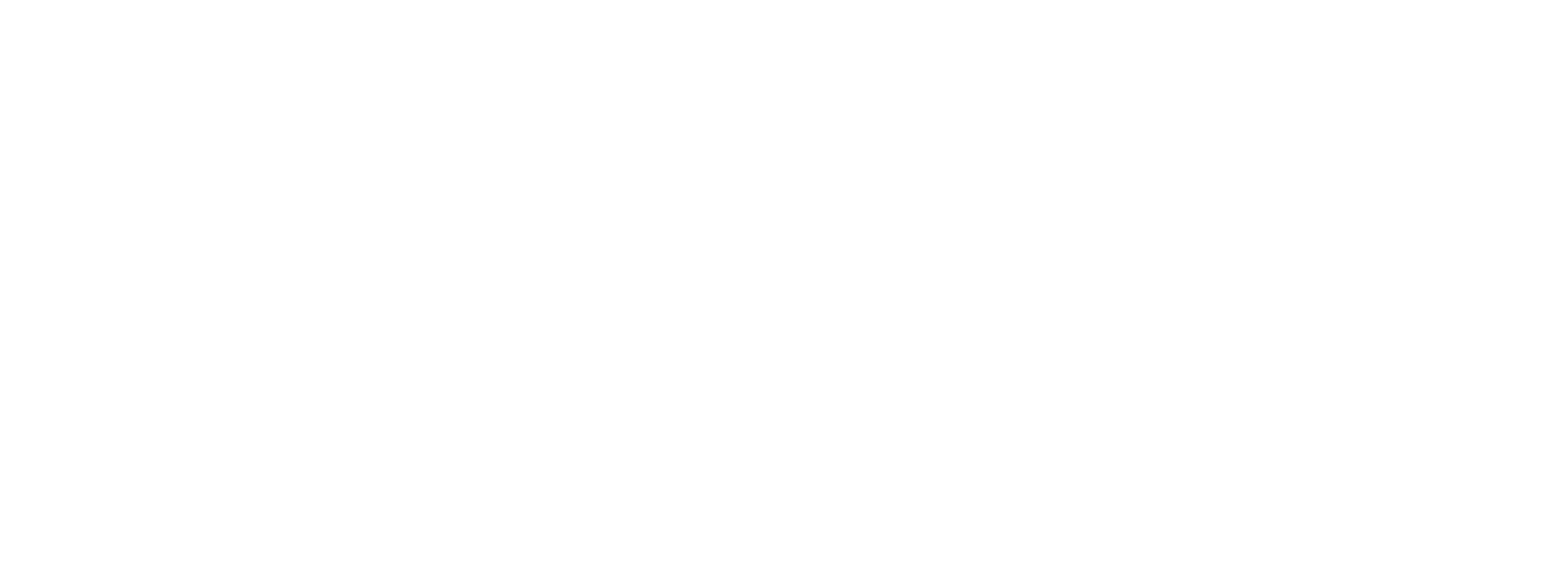 New Value Solutions logo
